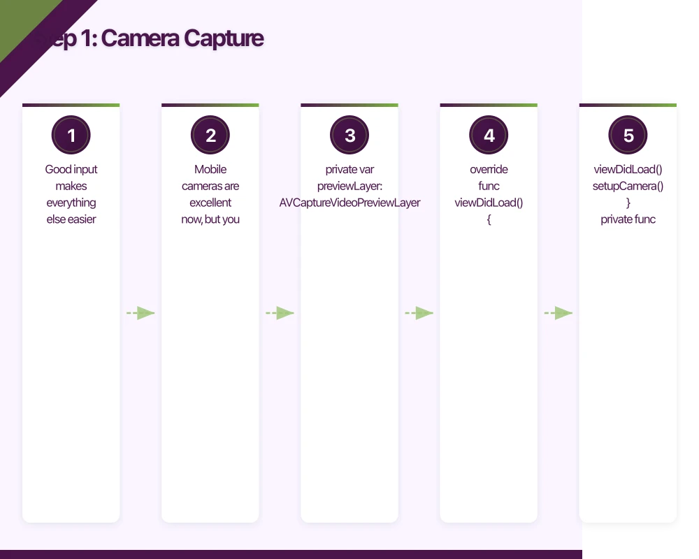 Step 1: Camera Capture Infographic